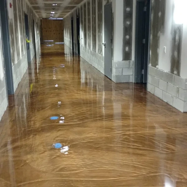 Metallic Epoxy in Hallways